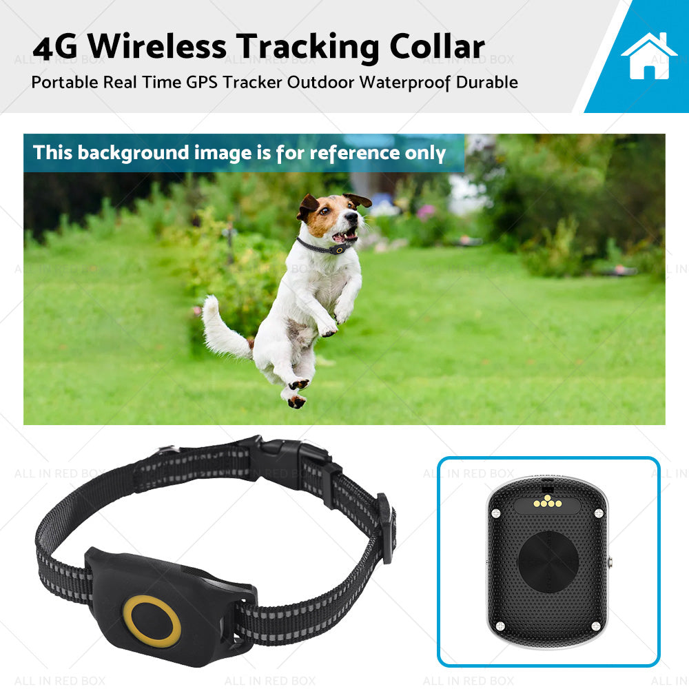 4G GPS Dog Tracker Collar for Outdoor Use Real Time, Waterproof
