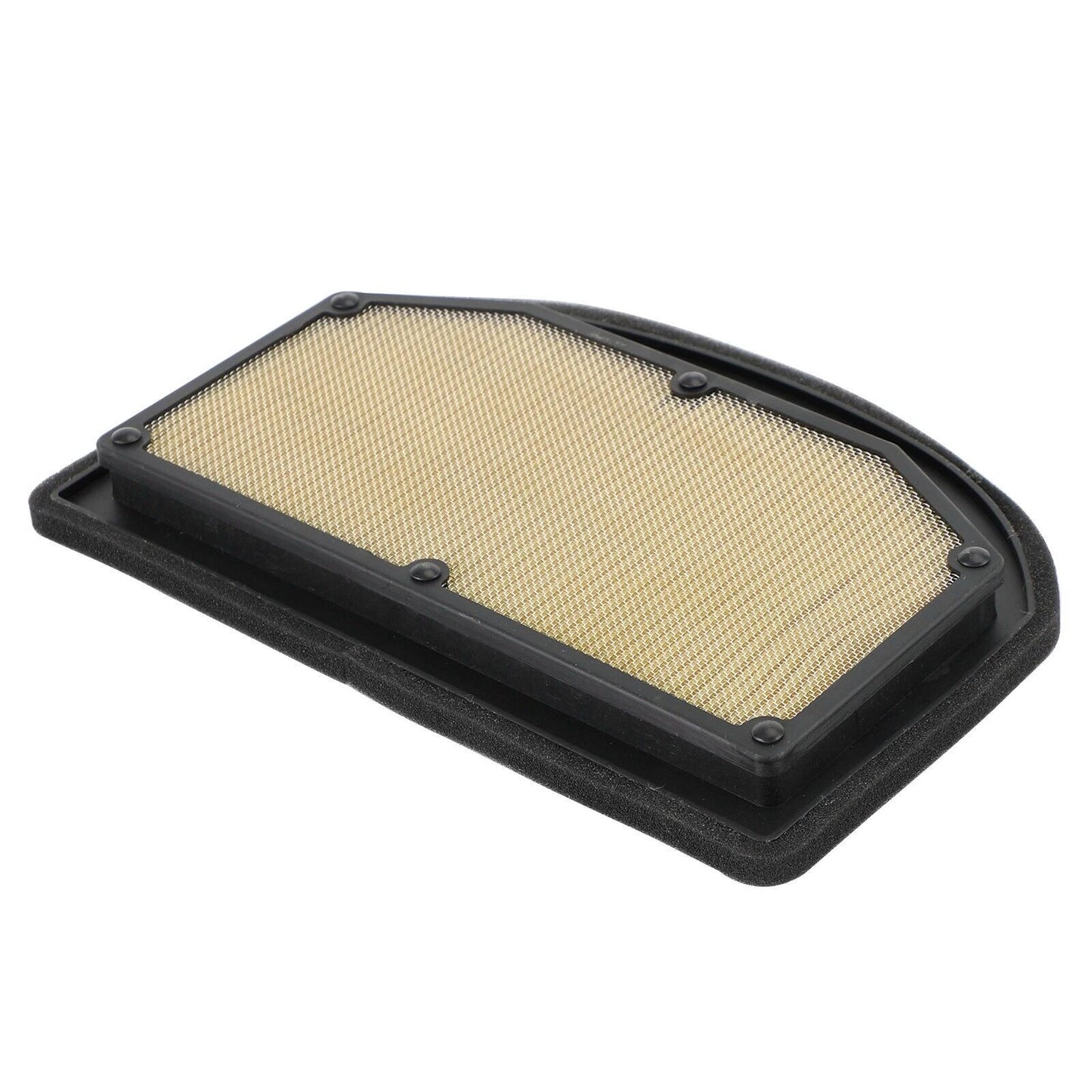 Air Filter for Tiger 1200 Explorer XC/XCA/XCX/XR/XRT/XRX (2012-2021)