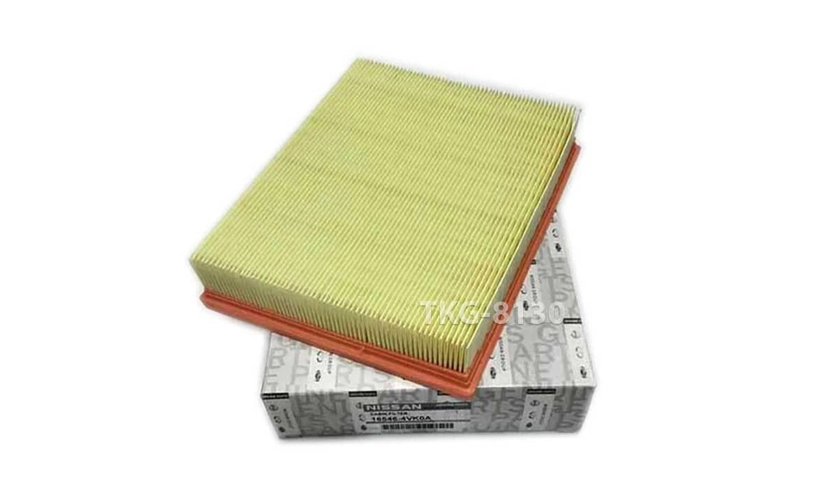 Air Intake Cleaner Filter for Nissan Navara NP300 (2014-2024)