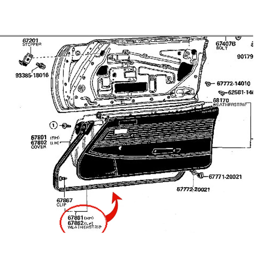 Front Door Lower Weatherstrip for Toyota Celica 1971-1977