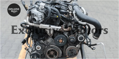 Nissan Navara YD25DDTI Engine