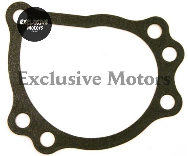 Genuine Water Pump Gasket