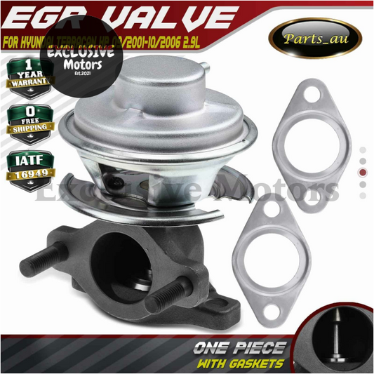 EGR Valve with Gaskets for Hyundai Terracan HP (2001-2010)