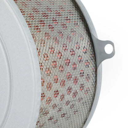 Air Filter Insert for Daelim Daystar VL 125 (2000-2005)