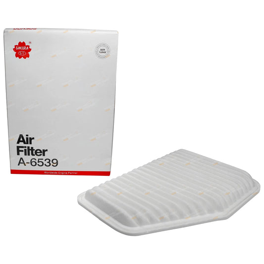 Air Filter Cleaner for Holden Statesman WM V6 V8 3.6L 6.0L 6.2L (2006-2013)